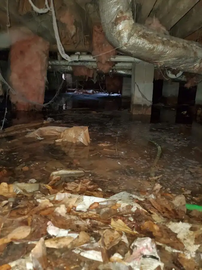 Crawl space flood assessment for Leak Detection & Repair in Baxter Village